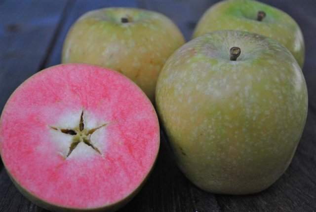 hidden rose apples