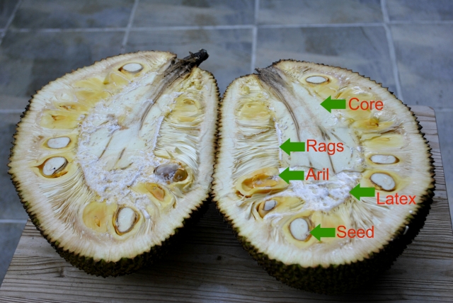 cut-jackfruit-chart