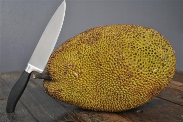 jackfruit