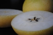 20th Century Pear