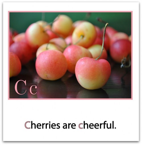c-is-for-cherry-border