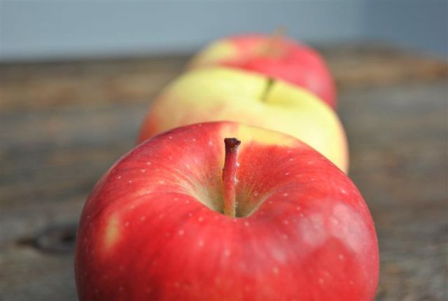ambrosia-apple