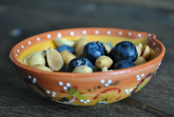 peanut-and-blueberry-snack