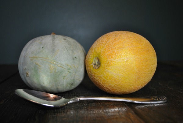 spoon-melons