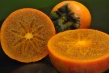 chocolate persimmon slice