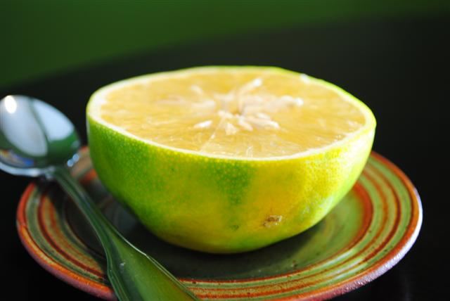 Cocktail Grapefruit