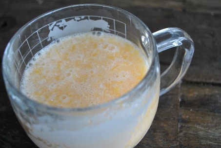 coconut-orange-julius