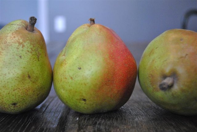 comice-pears