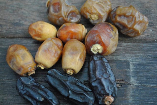 date-mix