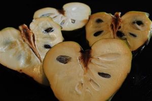 Dr. White Cherimoya