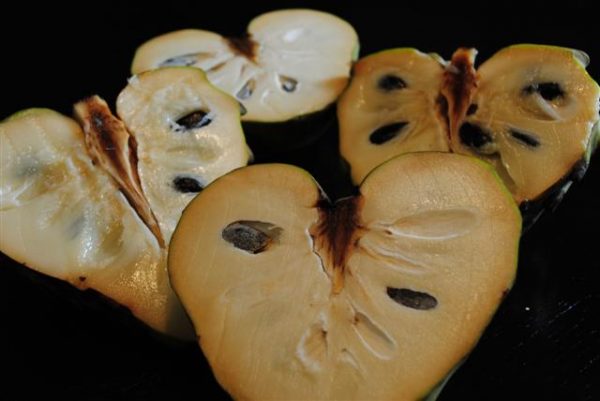 Dr. White Cherimoya