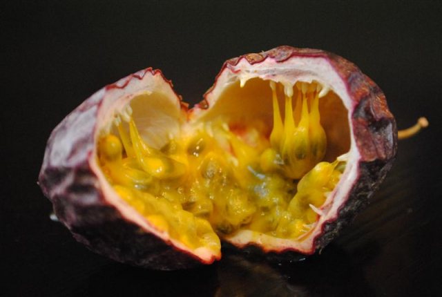 Frederick Passion Fruit