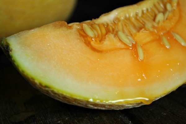 french-baby-melon-slice