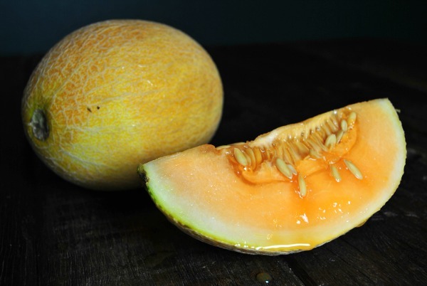 french-baby-melon