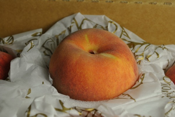cal-red-peach