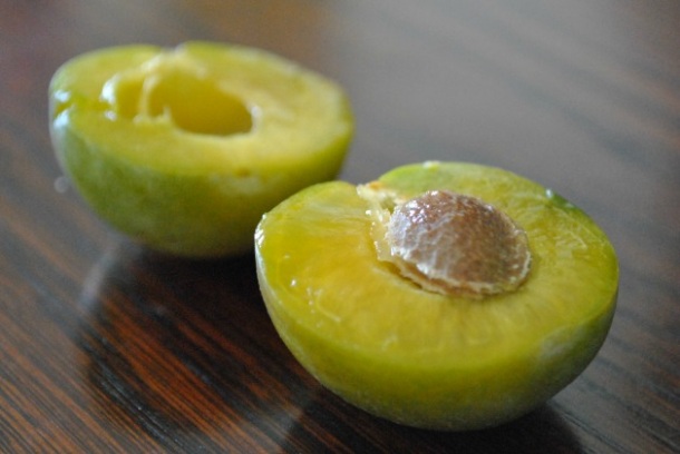 green-gage-plums