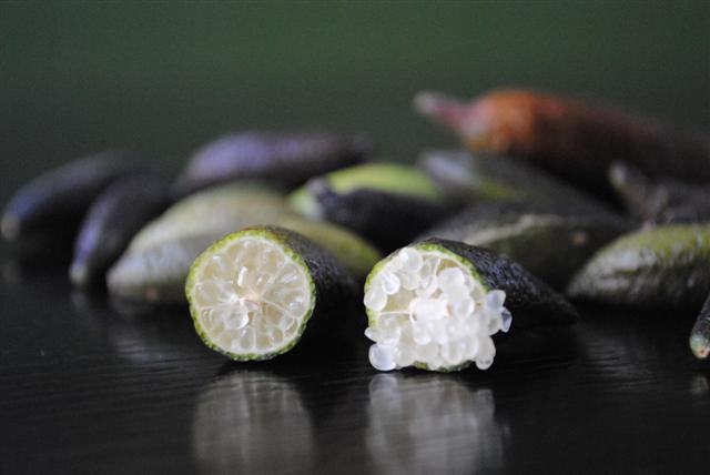 Green Seedless Australian Fingerlime