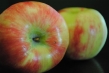 honeycrisp apple