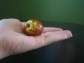 jujube-whole