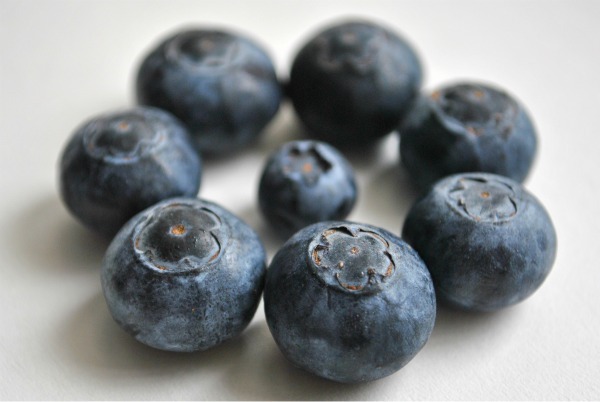 jumbo-blueberries