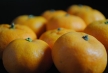 Kishu Mandarin
