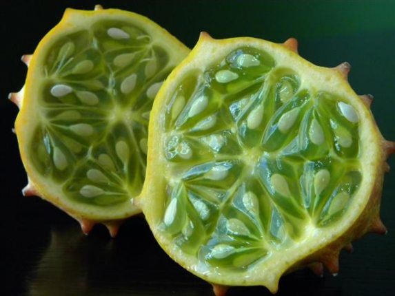 Kiwano Melon