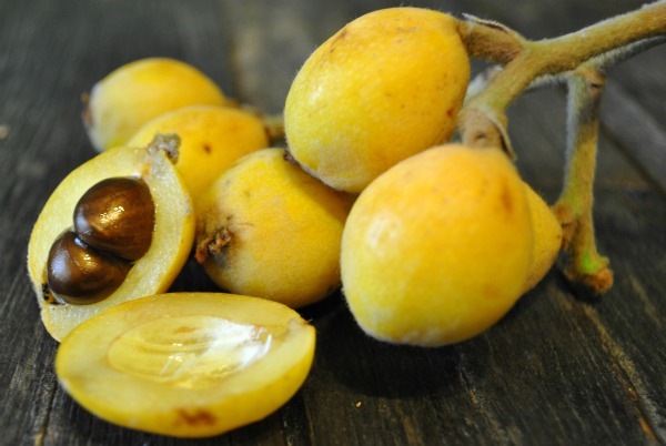 loquats-sliced