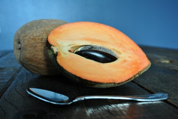 mamey-sapote-size