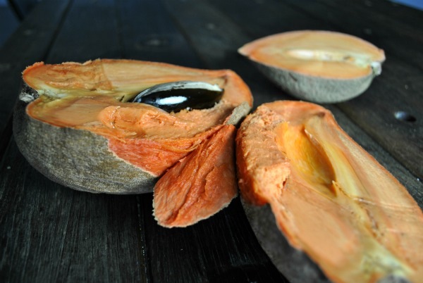 ripe-mamey-sapote