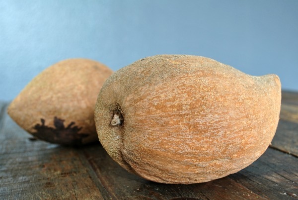 whole-mamey-sapote
