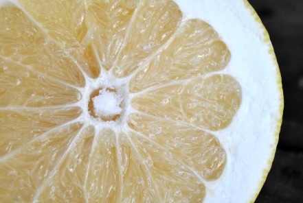 Melogold Grapefruit