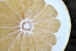 Melogold Grapefruit