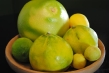 Melogold Grapefruit