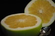 Melogold Grapefruit