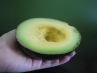 nimlioh-avocado-half