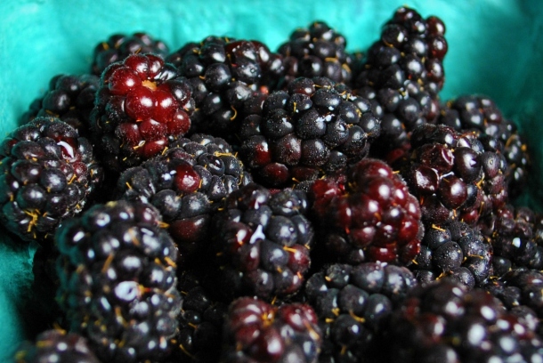 olallieberries
