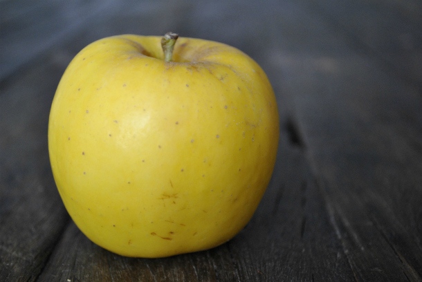 opal-apple