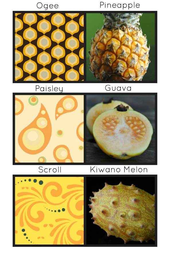 scroll pattern paisley pattern ogee pattern in fruit