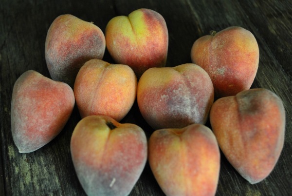 desert-gold-peaches