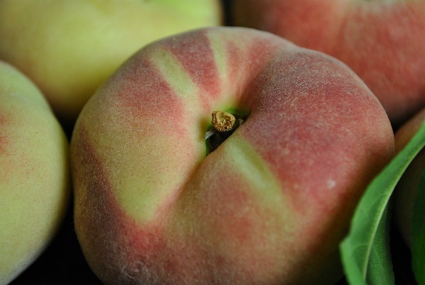 queen-sauzee-peach