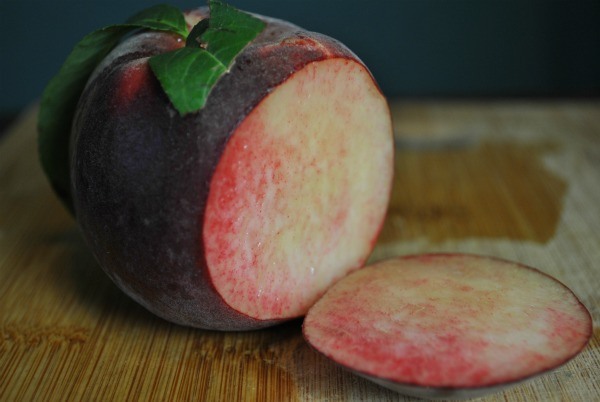 sunlit-snow-peach