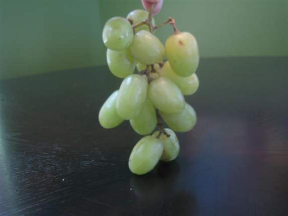 princess-grape-bunch