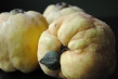 dsc_0333-small