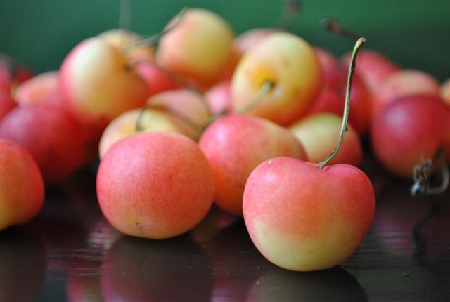 rainier-cherries