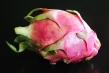 red pitaya - dragon fruit