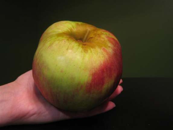 red-prince-apple-whole-small