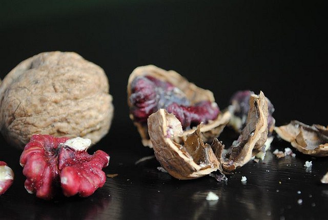 walnut