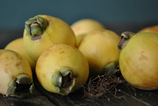 rose-apples