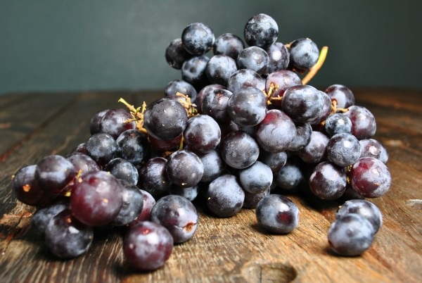 seedless-concord-grapes