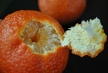 shasta-tangerine